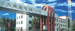 東風鍛造有限公司 東風鍛造有限公司