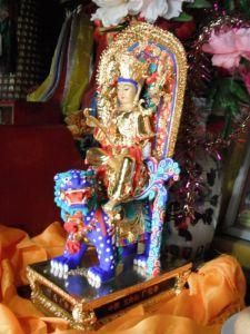 金獅子[漫畫《海賊王》中的角色]