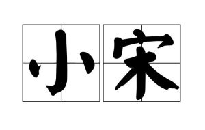 小宋 小宋