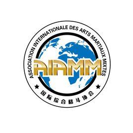 國際綜合格鬥協會 國際綜合格鬥協會