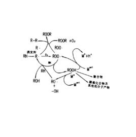 自氧化作用 自氧化作用