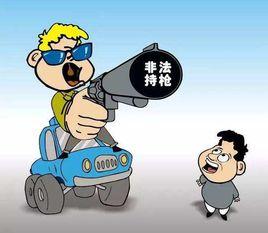 非法持有、私藏槍枝、彈藥罪 非法持有、私藏槍枝、彈藥罪