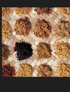 防風通聖散 防風通聖散