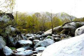 銀石灘森林公園 銀石灘森林公園