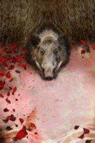 野豬[2012香港藝術節--野豬]