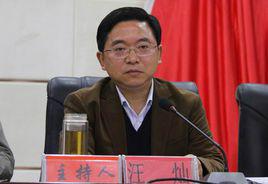 汪燦[湖南省岳陽市湘陰縣委原書記]