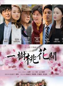 一樹桃花開[2016年王瑞執導電視劇]