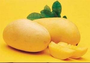 芒果過敏 芒果過敏