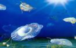 前寒武紀地質學