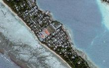 羅魯阿（Lolua）