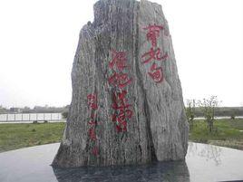 曹妃甸濕地公園 曹妃甸濕地公園