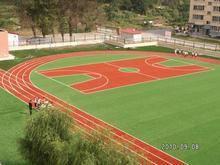 青海沈那中學 青海沈那中學