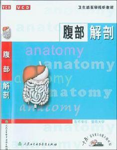 腹部解剖 腹部解剖