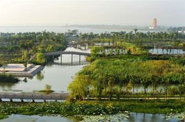 北湖濕地公園[天門北湖濕地公園]