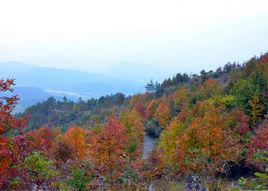 吳家山[武漢市國家級開發園區]
