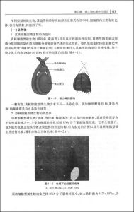《微生物學與免疫學》 《微生物學與免疫學》