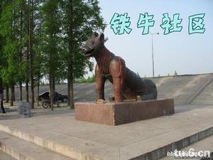 鐵牛社區 鐵牛社區