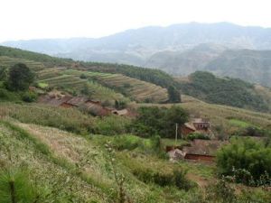 草坡露自然村 草坡露自然村