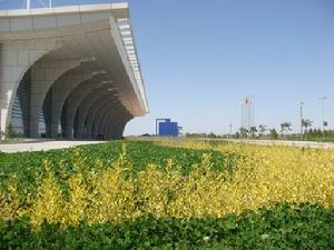 榆林榆陽機場
