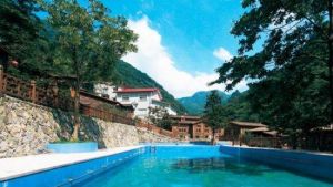 九龍峽度假村 九龍峽度假村