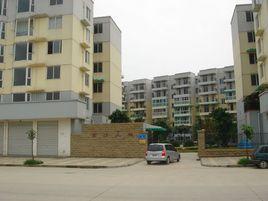 金沙國際花園 金沙國際花園