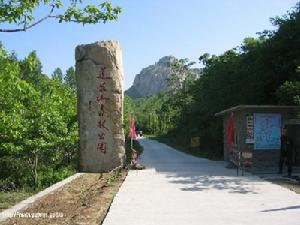 蓮花山森林公園