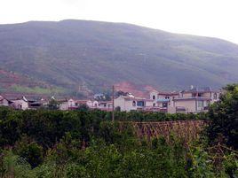 大老衛寨村 大老衛寨村