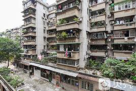 沙園沙園大街 沙園沙園大街