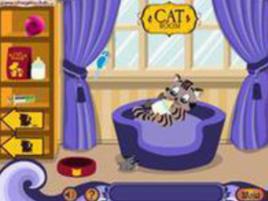 照顧小貓 照顧小貓