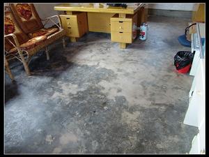 （圖）市地震局