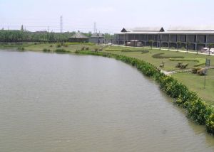 國際水岸休閒農莊 國際水岸休閒農莊