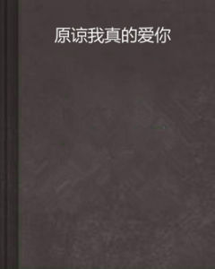 原諒我真的愛你 原諒我真的愛你