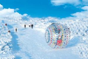 冰雪節[南極童話村&middot;極地冰雪節]