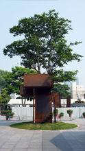 Kiostree/YoungBirdPlan2014（落地作品）