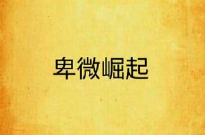 卑微崛起 卑微崛起