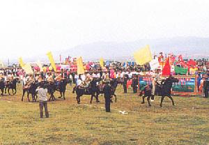 河南蒙古族自治縣