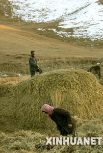 松山鎮[甘肅武威天祝藏族自治縣]