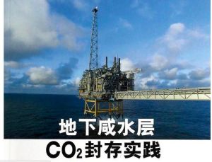 《地下鹹水層CO2封存實踐》封面