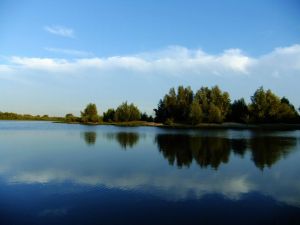 額爾齊斯河 額爾齊斯河