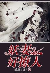 鬼夫兇猛：妖妻好撩人 