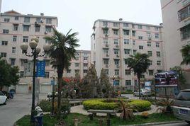 新世紀花園 新世紀花園