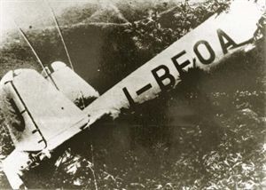 大角芩生 大角芩生