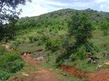 黃草地村 黃草地村