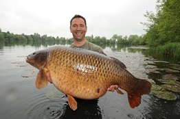 大魚本森 大魚本森