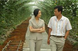 柿子紅了[中國動作喜劇]