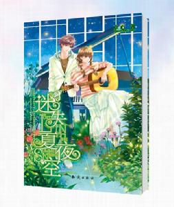 長篇小說《迷失夏夜空》的封面