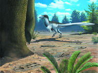 永靖馳龍足跡 永靖馳龍足跡