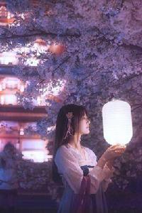 成穆皇后 成穆皇后