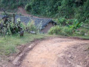 文谷自然村 文谷自然村