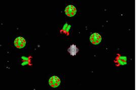基因的複製 基因的複製